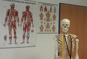 Menopausia y salud ósea: lo que la ciencia revela sobre la pérdida de densidad y cómo prevenirla de forma natural