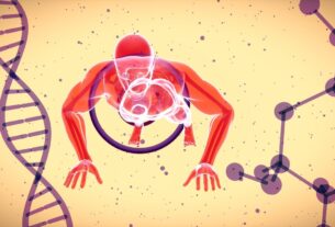 La importancia crítica de la fuerza muscular para una vejez independiente.