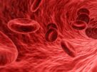 Fitoterapia hormonal: Hierbas como la cimífuga, el sauzgatillo y el trébol rojo.