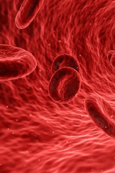 Fitoterapia hormonal: Hierbas como la cimífuga, el sauzgatillo y el trébol rojo.