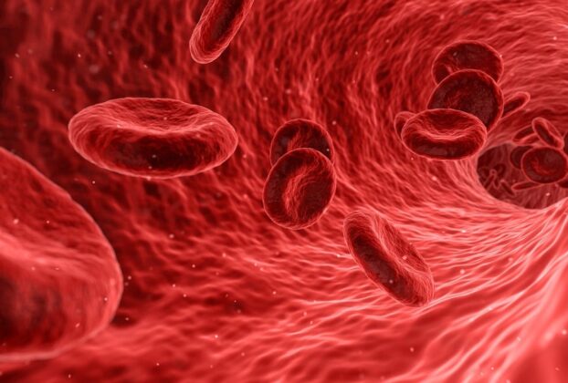 Fitoterapia hormonal: Hierbas como la cimífuga, el sauzgatillo y el trébol rojo.